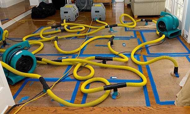 Professional Water Damage Restoration technician working in Fremont, NE